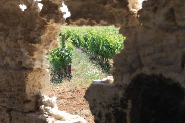 646083508803040 3190645572371278995 o