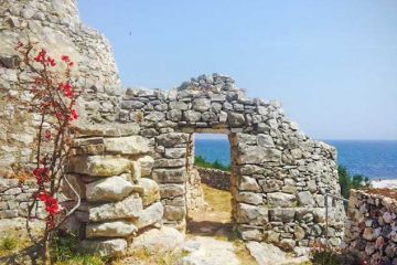 836225343122188 256660196797182820 n