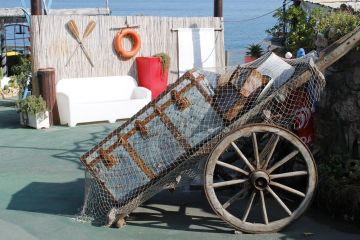 232735223471206 1413923983 o